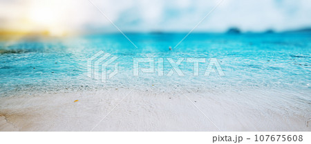 Tropical ocean beach 107675608
