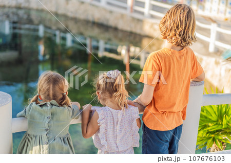 Children looking at fish in a pond 107676103