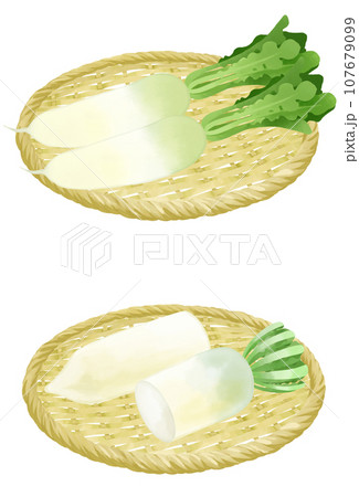 ザルにのった大根のイラストセット ザルにのった大根のイラストセット 107679099