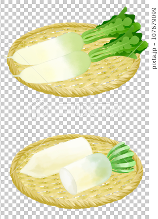 Illustration set of radish on a colander Illustration set of radish on a colander 107679099