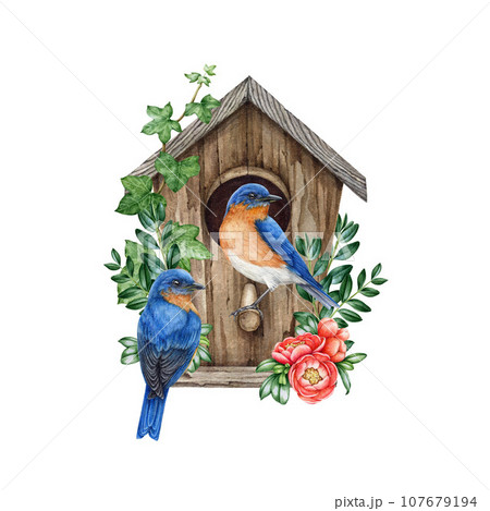 Couple of bluebirds on the birdhouse with spring floral decor. Watercolor illustration. Cozy spring decoration. Bluebird couple nesting in the wooden birdhouse, blooming spring flowers, green leaves 107679194