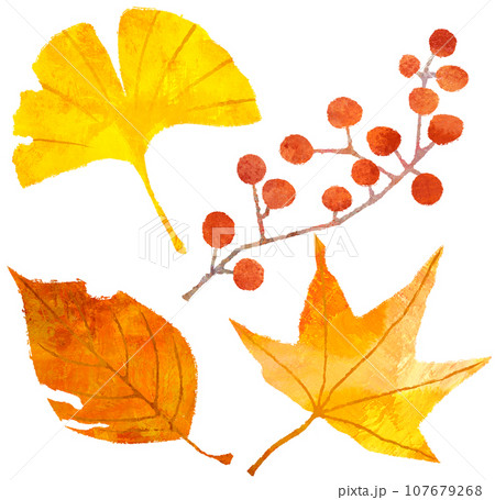 紅葉した落ち葉のセット 107679268