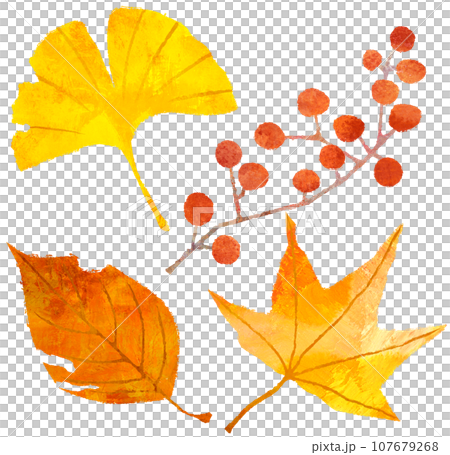 紅葉した落ち葉のセット 107679268