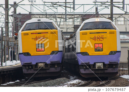 【運転手等ぼかし済】485系3000番代特急白鳥jr北海道五稜郭駅で離合 107679487