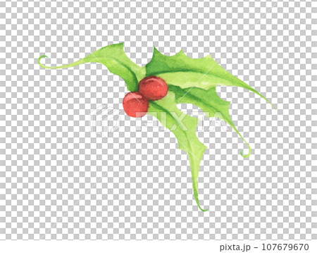 Watercolor painting of cute green leaf. 107679670