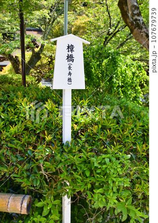 京都 上賀茂神社　樟橋（長寿橋） 107679739
