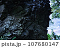 雨に濡れた岩肌 107680147