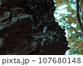 秋雨に濡れた岩肌 107680148