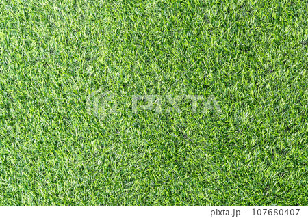 Artificial grass Artificial grass 107680407