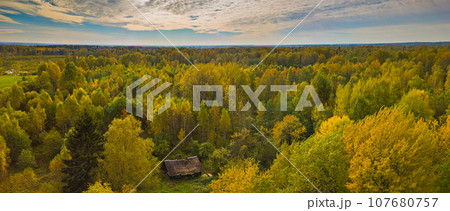 Old ruined house surrounded by autumn forest Old ruined house surrounded by autumn forest 107680757