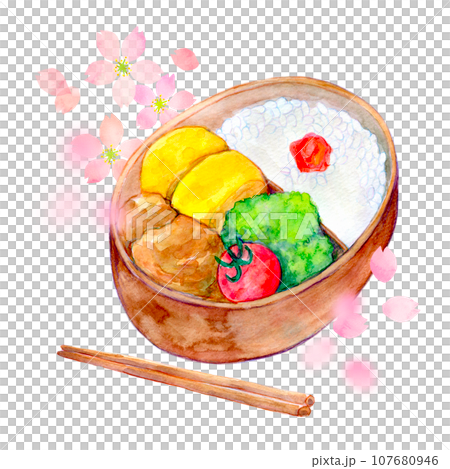 Watercolor illustration cherry blossom viewing lunch box cherry blossom viewing image 107680946