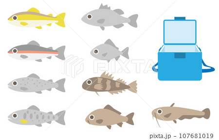 淡水魚セット 淡水魚セット 107681019