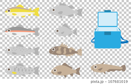 淡水魚セット 淡水魚セット 107681019