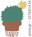 Cactus 107681416