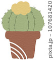 Cactus 107681420