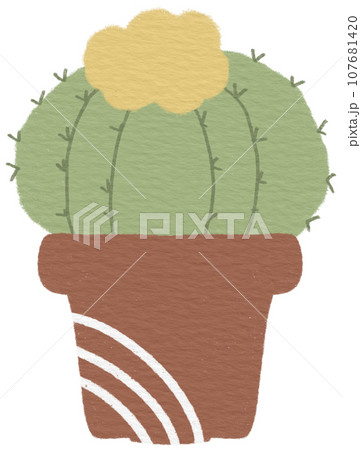 Cactus 107681420