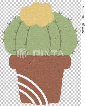 Cactus 107681420