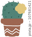 Cactus 107681421