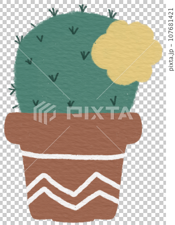 Cactus 107681421