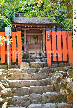 京都 上賀茂神社 摂社 須波神社 京都 上賀茂神社 摂社 須波神社 107681637