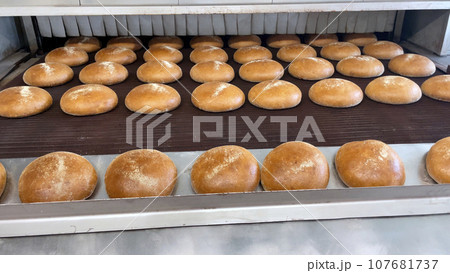 A loaf of bread on the production line in a bakery. Baked loaf of bread in the bakery, just came out of the oven with a beautiful golden color. A loaf of bread on the production line in a bakery. Baked loaf of bread in the bakery, just came out of the oven with a beautiful golden color. 107681737