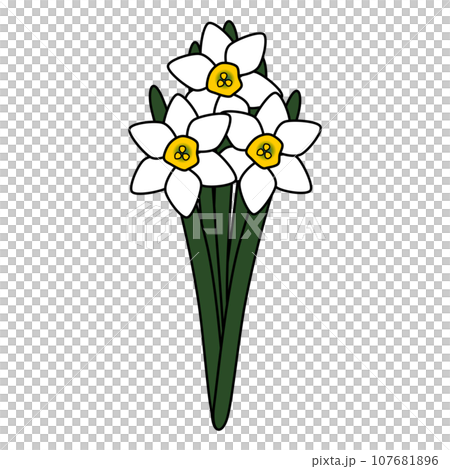 流行可愛的水仙花插畫 流行可愛的水仙花插畫 107681896