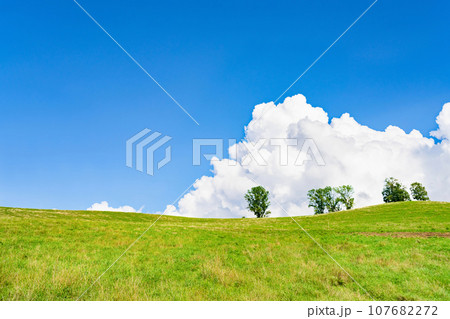 夏の北海道美瑛町　牧草の丘 107682272