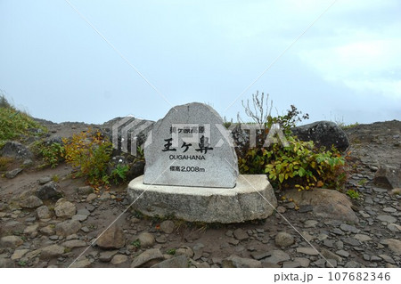 美ヶ原高原　王ヶ鼻 107682346