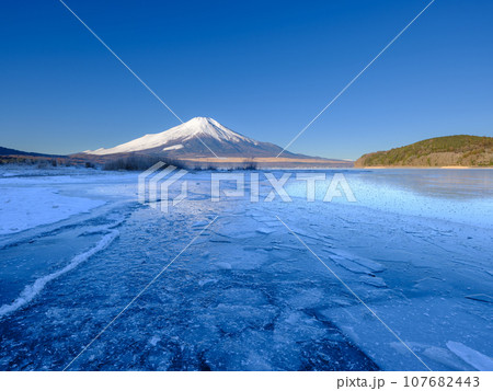 山梨_結氷する山中湖と夜明けの絶景 107682443