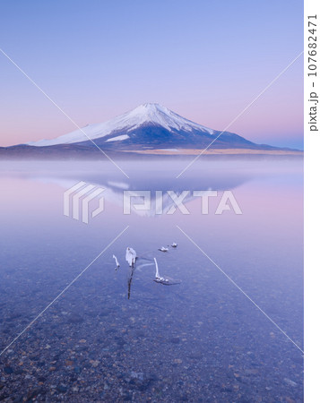 山梨_真冬の山中湖と静寂の絶景 107682471