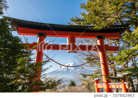「山梨県」新屋山神社の参道鳥居から見る冬の富士山 「山梨県」新屋山神社の参道鳥居から見る冬の富士山 107682963
