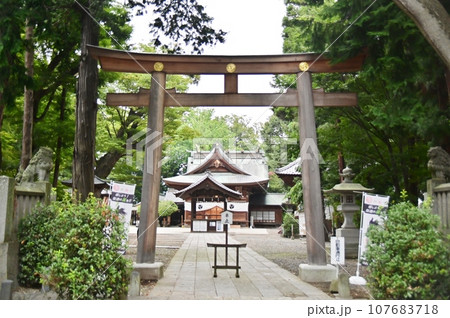 武水分神社の中鳥居越しの勅使殿と拝殿 武水分神社の中鳥居越しの勅使殿と拝殿 107683718