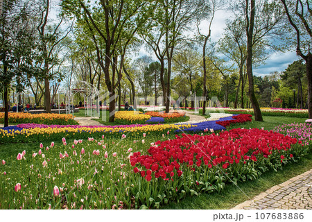 Emirgan Park, Istanbul 107683886
