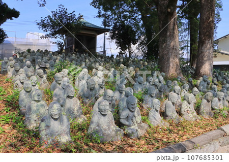 五百羅漢（東光寺・宇佐市） 107685301