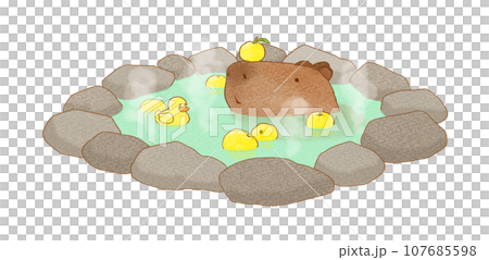 Capybara in yuzu bath 107685598