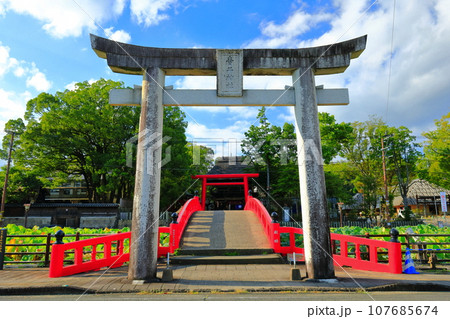 【熊本県】晴天の青井阿蘇神社（禊橋） 107685674