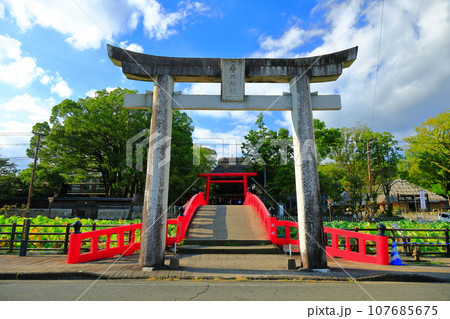 【熊本県】晴天の青井阿蘇神社（禊橋） 107685675