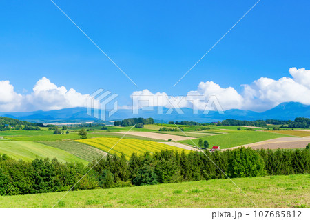 夏の北海道美瑛町　新栄の丘展望公園の景色 107685812