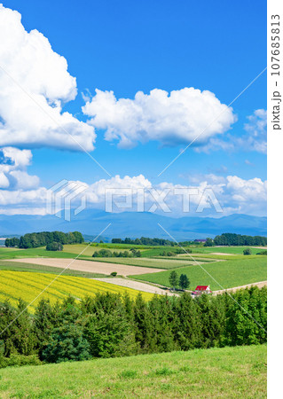 夏の北海道美瑛町 新栄の丘展望公園の景色 夏の北海道美瑛町 新栄の丘展望公園の景色 107685813