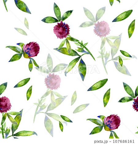 Watercolor Trifolium clover flower texture seamlees pattern Watercolor Trifolium clover flower texture seamlees pattern 107686161