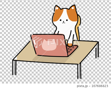 パソコンをするかわいい猫のイラスト 107686823