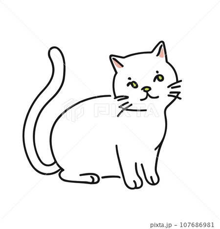 走る白猫 107686981