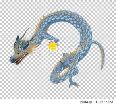 Realistic dragon illustration Realistic dragon illustration 107687228