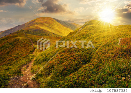 summer mountain landscape at sunset. foot path through hill side to the mountain top. beautiful nature scenery in evening light summer mountain landscape at sunset. foot path through hill side to the mountain top. beautiful nature scenery in evening light 107687385