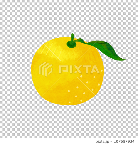 柚子のイラスト 107687934