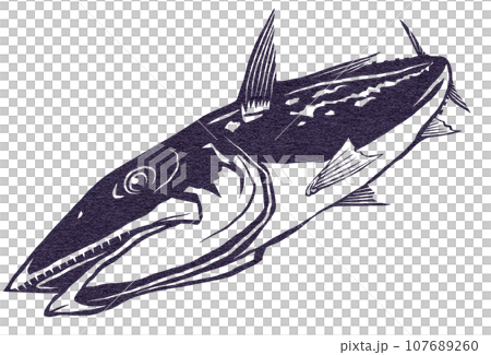 兇猛的日本鯖魚插圖 兇猛的日本鯖魚插圖 107689260