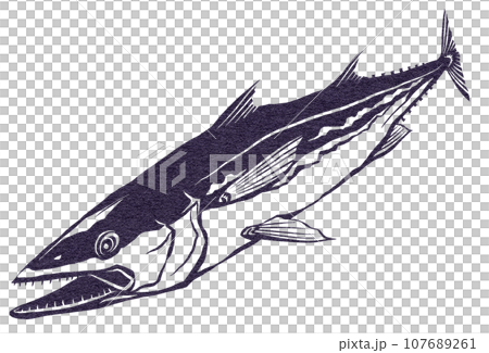 Simple black and white illustration of mackerel 107689261