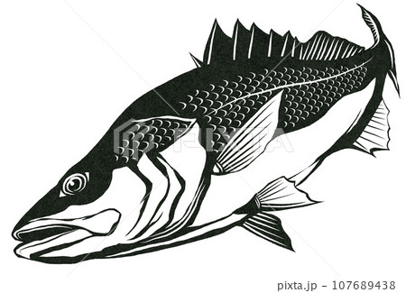 カッコイイ魚スズキの切り絵風イラスト 107689438