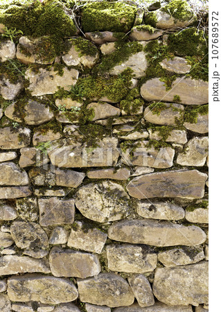 stone wall with moss 107689572