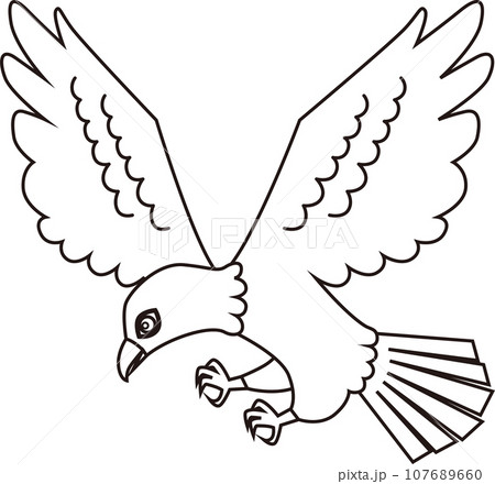 縁起物の鳥、鷹 線画白塗のイラスト素材 [107689660] - PIXTA